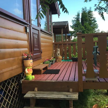 Snowdonia National Park Log Cabin With Garden Trawsfynydd Exterior photo