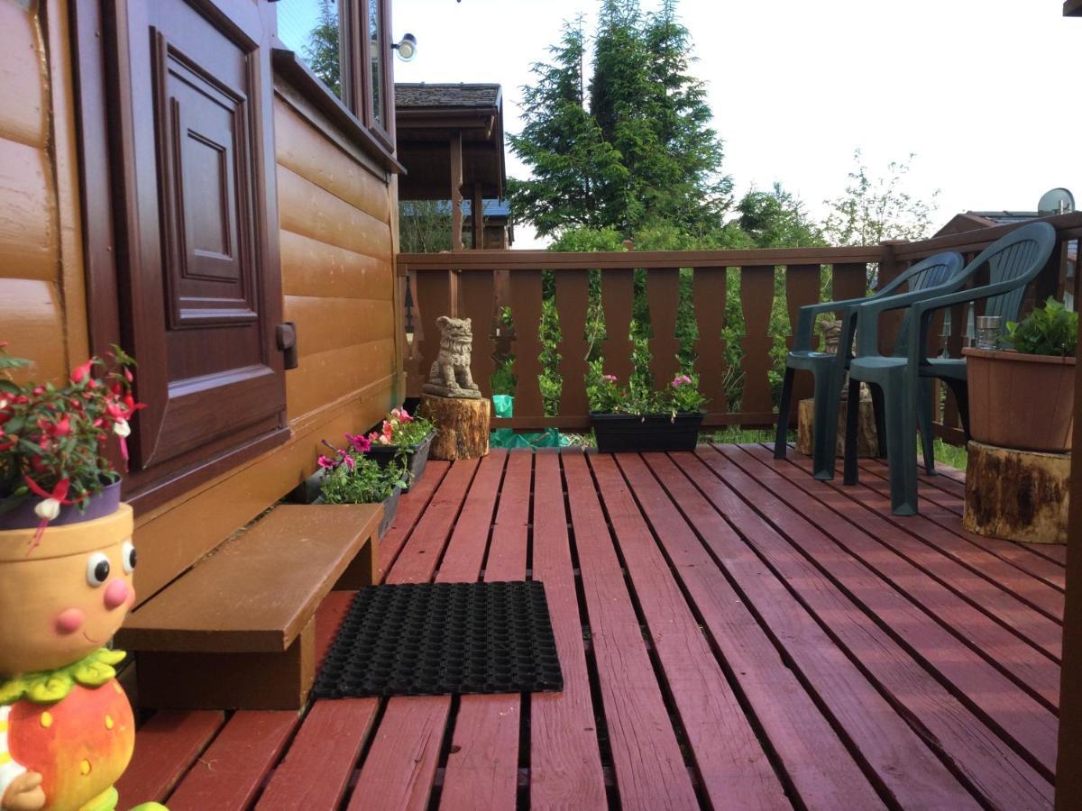 Snowdonia National Park Log With Garden