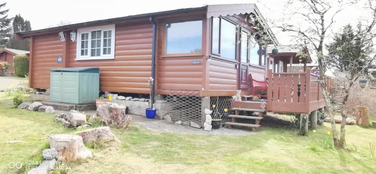 Snowdonia National Park Log With Garden Trawsfynydd